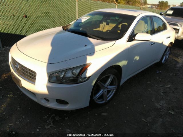 Photo 1 VIN: 1N4AA5AP5BC828983 - NISSAN MAXIMA 