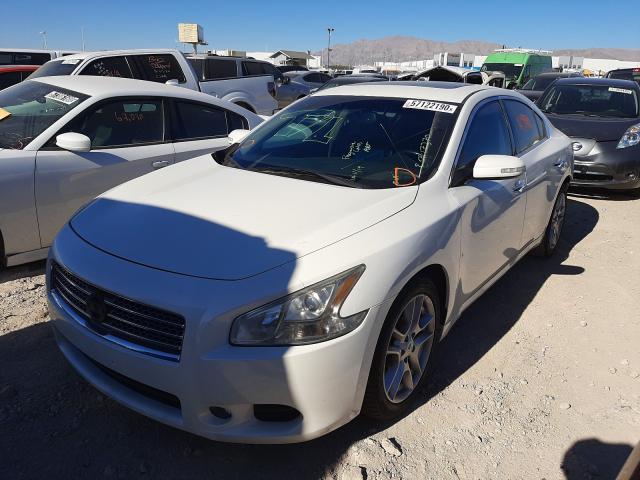 Photo 1 VIN: 1N4AA5AP5BC834198 - NISSAN MAXIMA S 