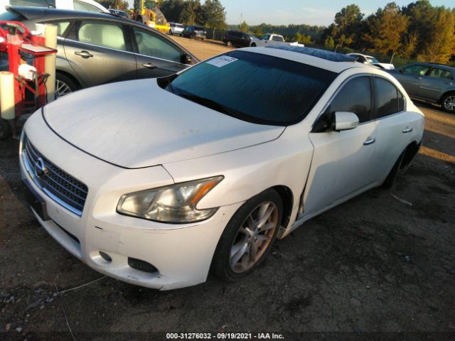 Photo 1 VIN: 1N4AA5AP5BC835996 - NISSAN MAXIMA 