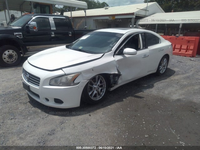 Photo 1 VIN: 1N4AA5AP5BC836310 - NISSAN MAXIMA 