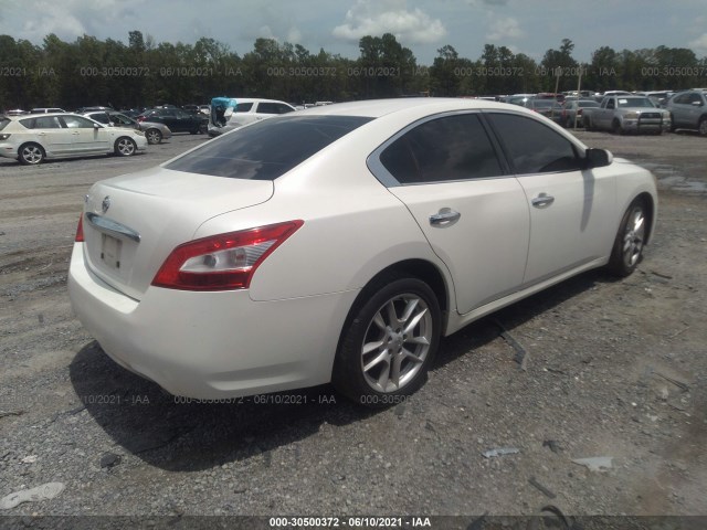 Photo 3 VIN: 1N4AA5AP5BC836310 - NISSAN MAXIMA 