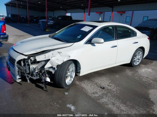 Photo 1 VIN: 1N4AA5AP5BC837957 - NISSAN MAXIMA 