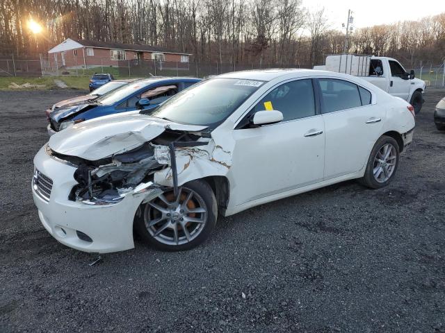 Photo 0 VIN: 1N4AA5AP5BC838896 - NISSAN MAXIMA 