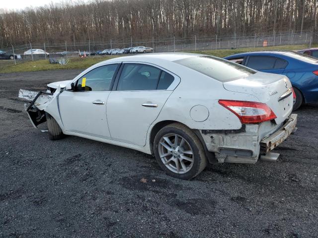 Photo 1 VIN: 1N4AA5AP5BC838896 - NISSAN MAXIMA 