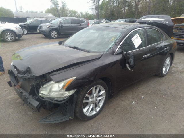 Photo 1 VIN: 1N4AA5AP5BC839109 - NISSAN MAXIMA 