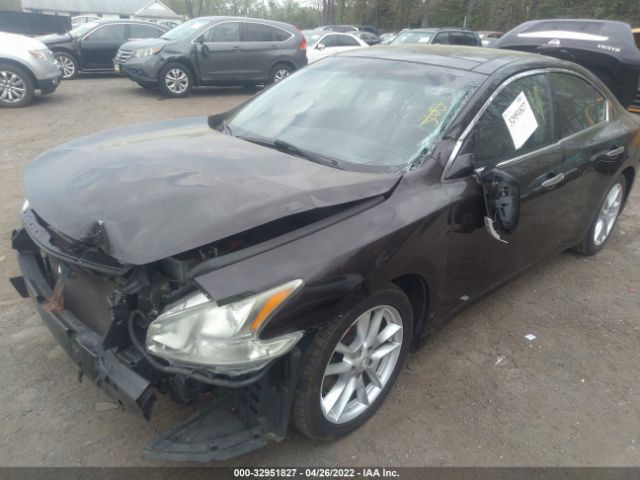 Photo 5 VIN: 1N4AA5AP5BC839109 - NISSAN MAXIMA 