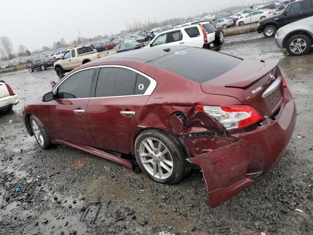 Photo 1 VIN: 1N4AA5AP5BC841569 - NISSAN MAXIMA S 