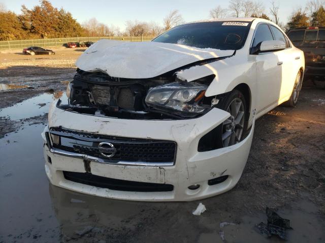 Photo 1 VIN: 1N4AA5AP5BC841734 - NISSAN MAXIMA S 