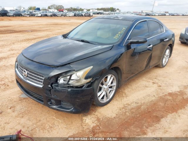 Photo 1 VIN: 1N4AA5AP5BC851566 - NISSAN MAXIMA 