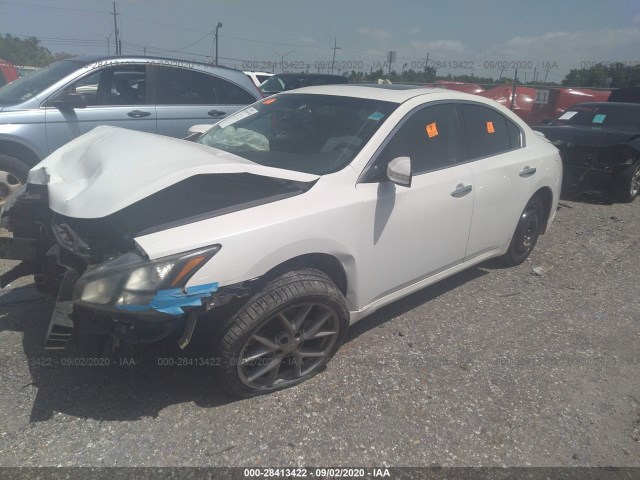 Photo 1 VIN: 1N4AA5AP5BC854659 - NISSAN MAXIMA 