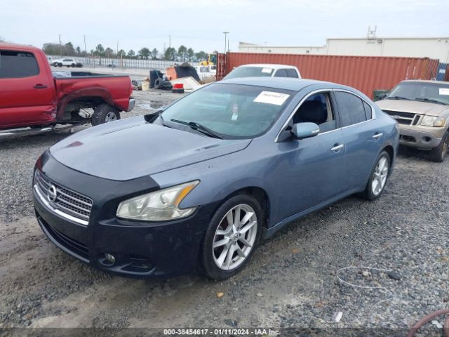 Photo 1 VIN: 1N4AA5AP5BC854693 - NISSAN MAXIMA 