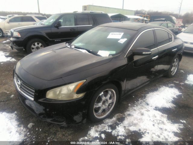 Photo 1 VIN: 1N4AA5AP5BC856895 - NISSAN MAXIMA 