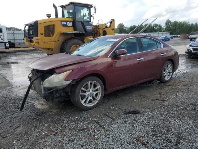 Photo 0 VIN: 1N4AA5AP5CC834140 - NISSAN MAXIMA 