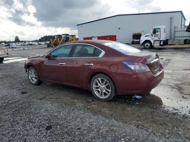 Photo 1 VIN: 1N4AA5AP5CC834140 - NISSAN MAXIMA 