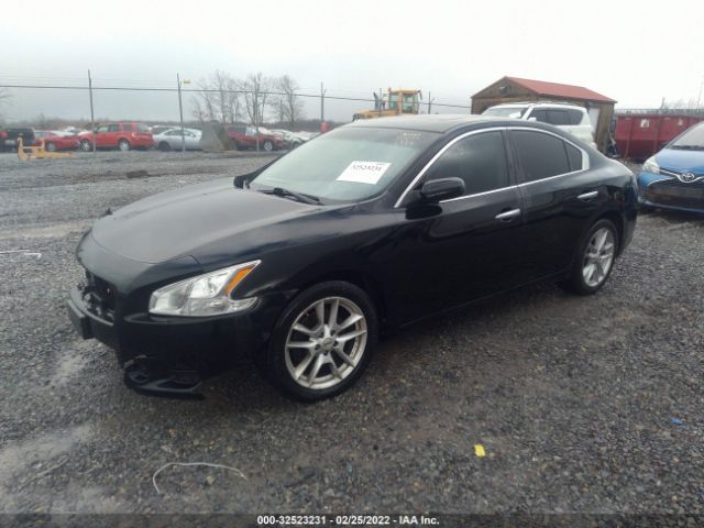 Photo 1 VIN: 1N4AA5AP5CC838298 - NISSAN MAXIMA 