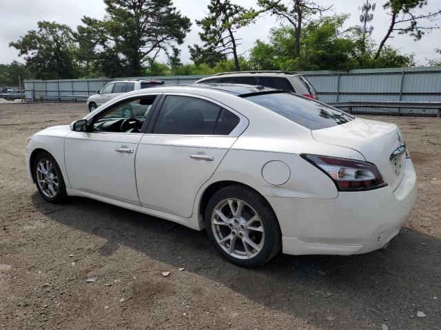 Photo 1 VIN: 1N4AA5AP5CC855859 - NISSAN MAXIMA 