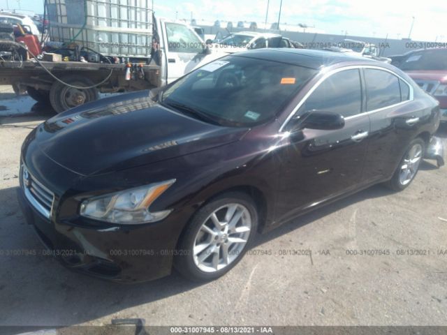 Photo 1 VIN: 1N4AA5AP5DC800667 - NISSAN MAXIMA 