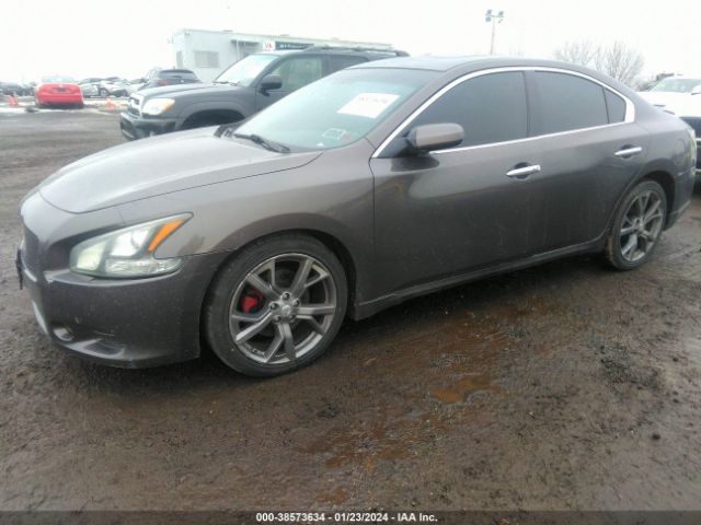 Photo 1 VIN: 1N4AA5AP5DC802788 - NISSAN MAXIMA 