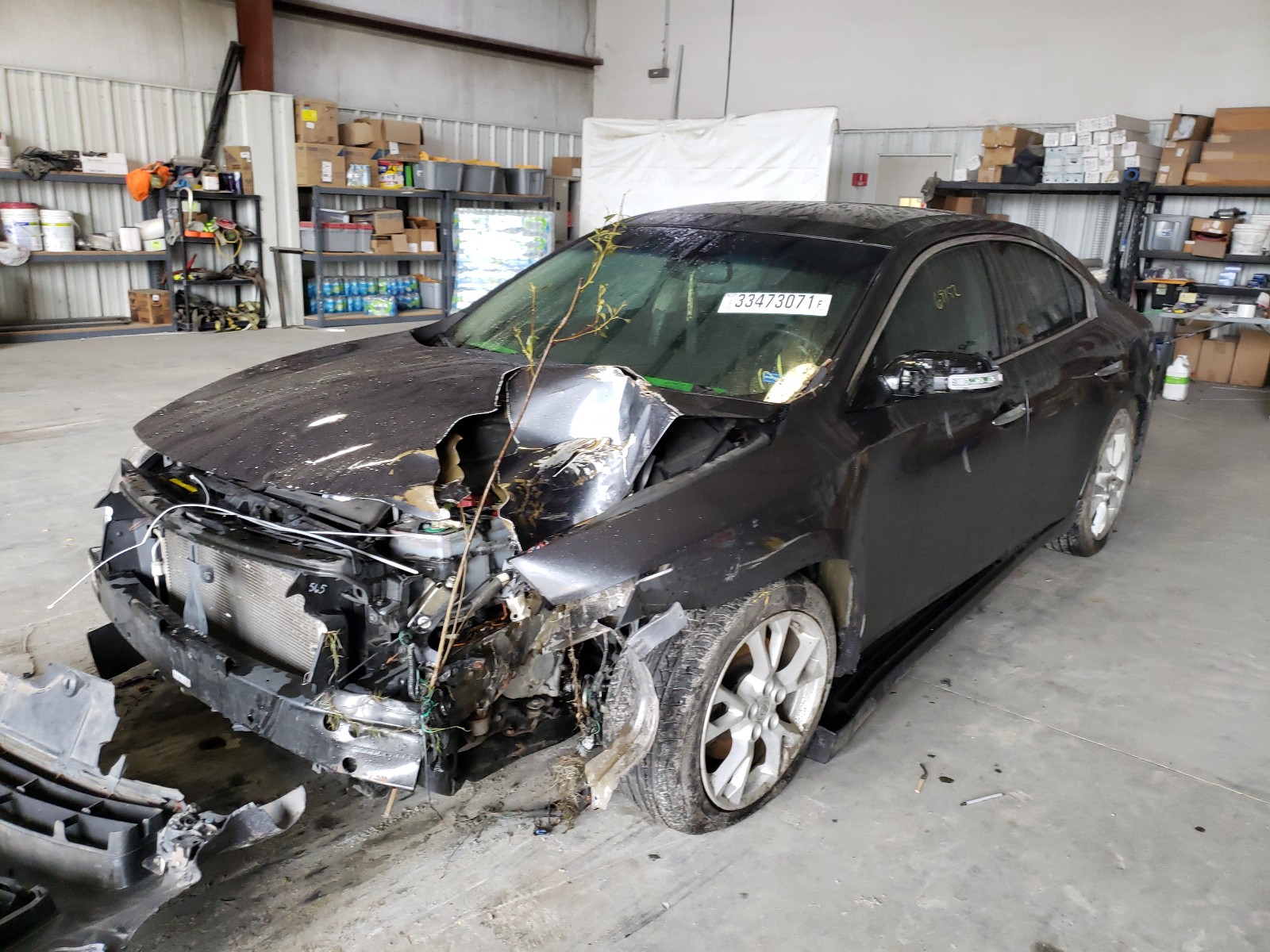 Photo 1 VIN: 1N4AA5AP5DC828663 - NISSAN MAXIMA S 