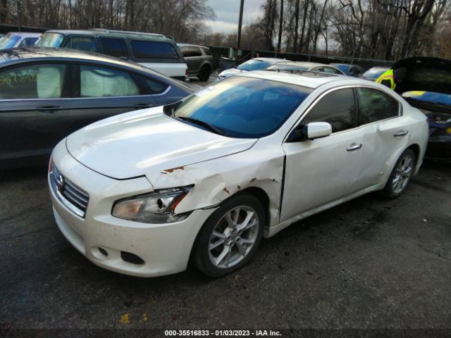 Photo 1 VIN: 1N4AA5AP5DC829764 - NISSAN MAXIMA 