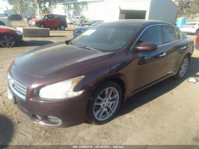 Photo 1 VIN: 1N4AA5AP5EC439085 - NISSAN MAXIMA 