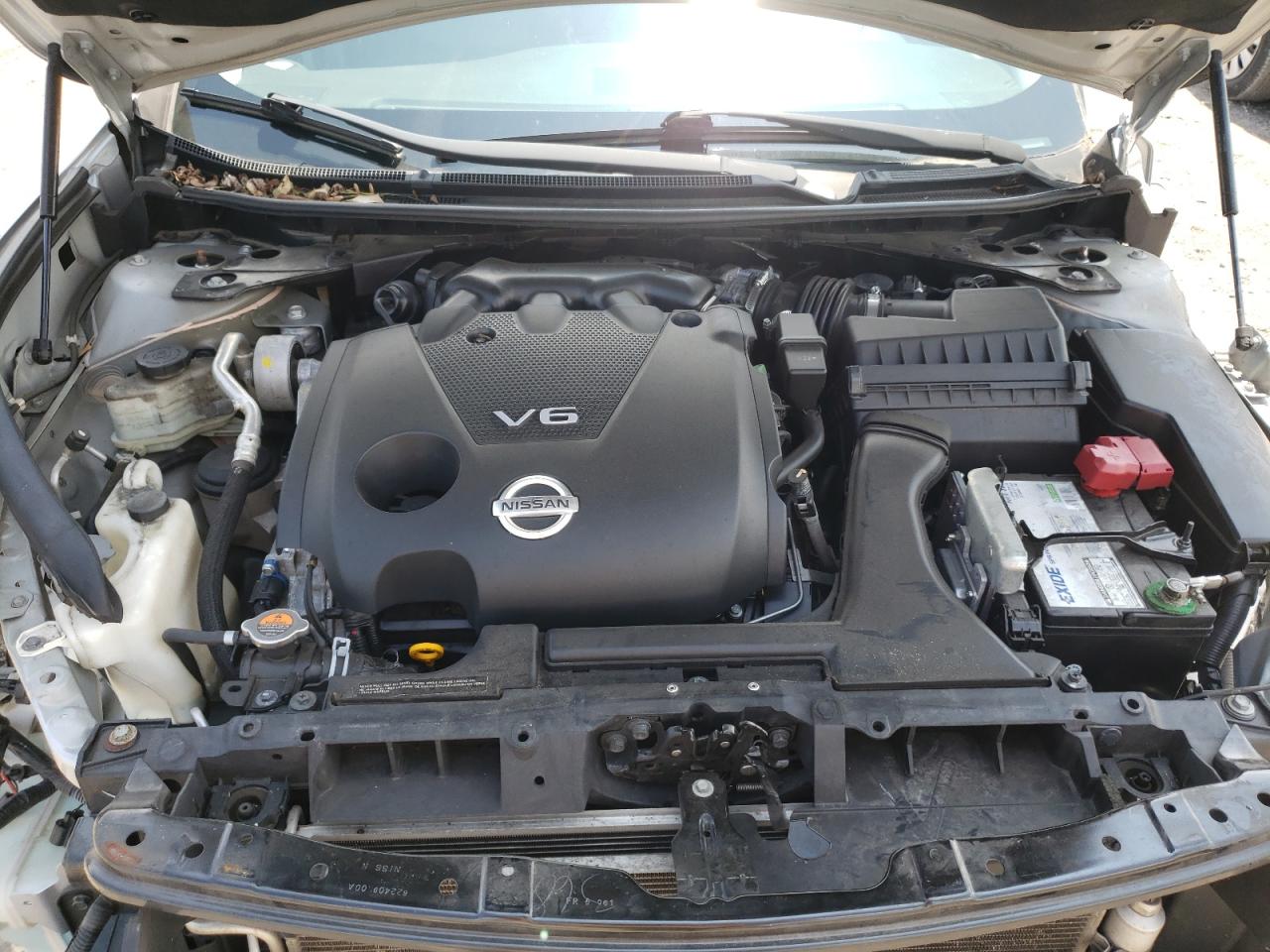 Photo 10 VIN: 1N4AA5AP5EC481854 - NISSAN MAXIMA 