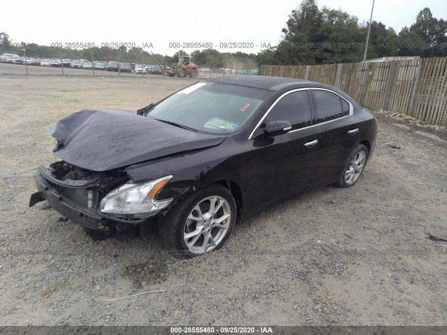 Photo 1 VIN: 1N4AA5AP5EC483443 - NISSAN MAXIMA 