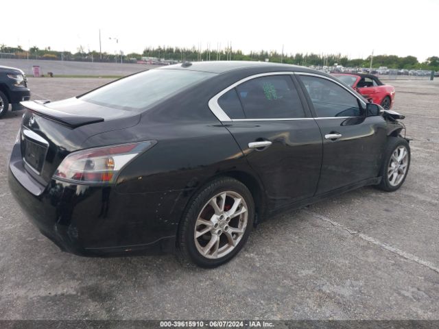 Photo 3 VIN: 1N4AA5AP5EC492661 - NISSAN MAXIMA 