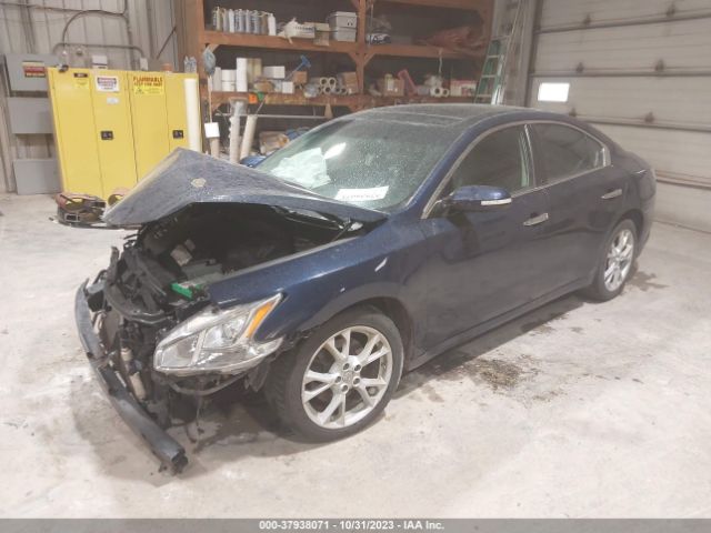 Photo 1 VIN: 1N4AA5AP5EC911186 - NISSAN MAXIMA 