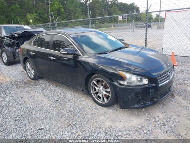 Photo 0 VIN: 1N4AA5AP6AC801824 - NISSAN MAXIMA 