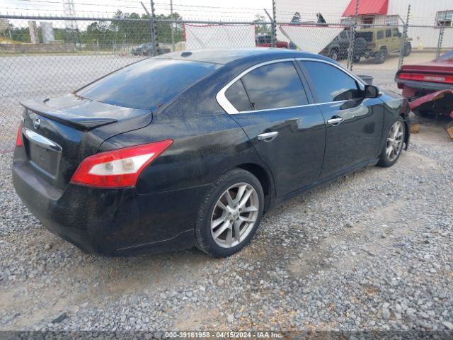 Photo 3 VIN: 1N4AA5AP6AC801824 - NISSAN MAXIMA 