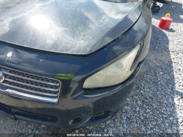 Photo 5 VIN: 1N4AA5AP6AC801824 - NISSAN MAXIMA 