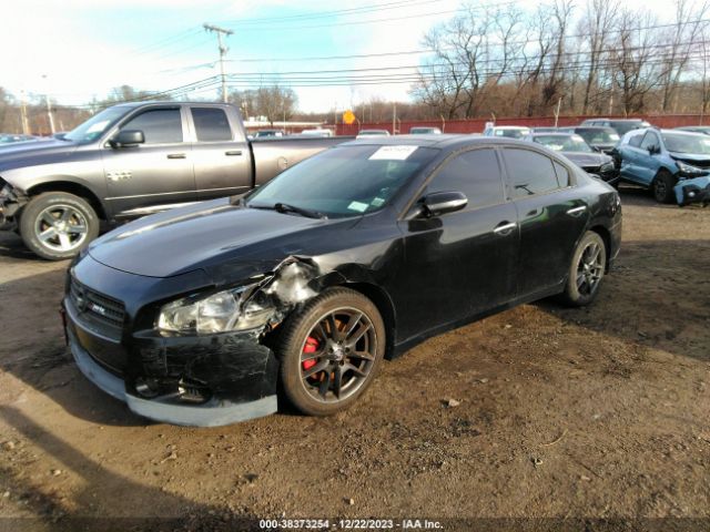 Photo 1 VIN: 1N4AA5AP6AC808689 - NISSAN MAXIMA 