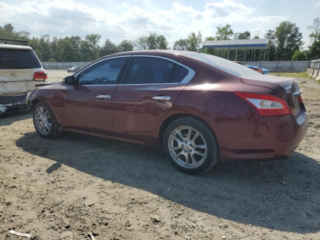 Photo 1 VIN: 1N4AA5AP6AC812595 - NISSAN MAXIMA 