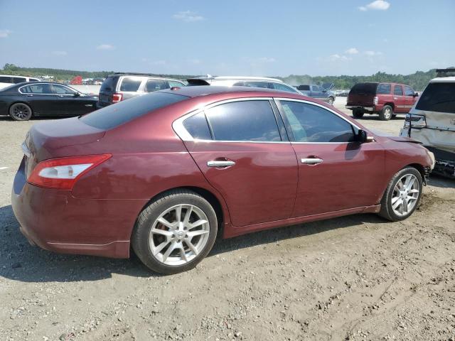 Photo 2 VIN: 1N4AA5AP6AC812595 - NISSAN MAXIMA 