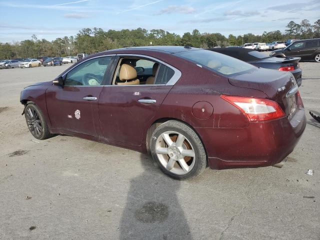 Photo 1 VIN: 1N4AA5AP6AC817702 - NISSAN MAXIMA 