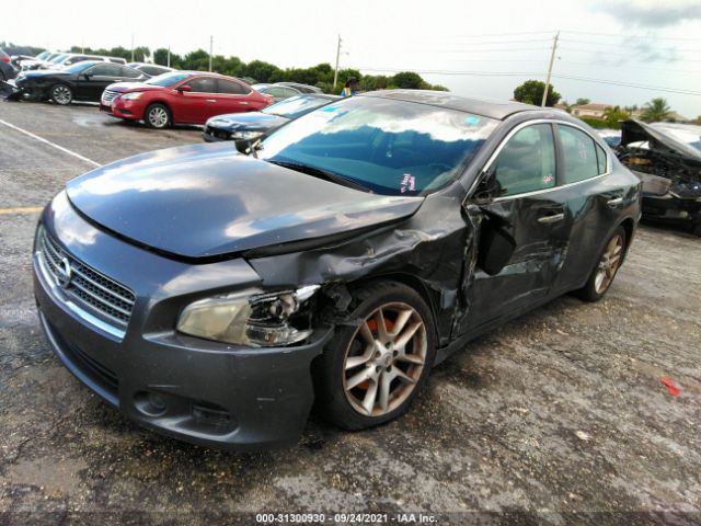 Photo 1 VIN: 1N4AA5AP6AC824648 - NISSAN MAXIMA 