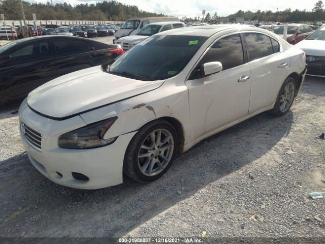 Photo 1 VIN: 1N4AA5AP6AC830157 - NISSAN MAXIMA 