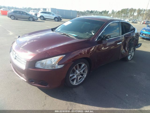 Photo 1 VIN: 1N4AA5AP6AC832863 - NISSAN MAXIMA 