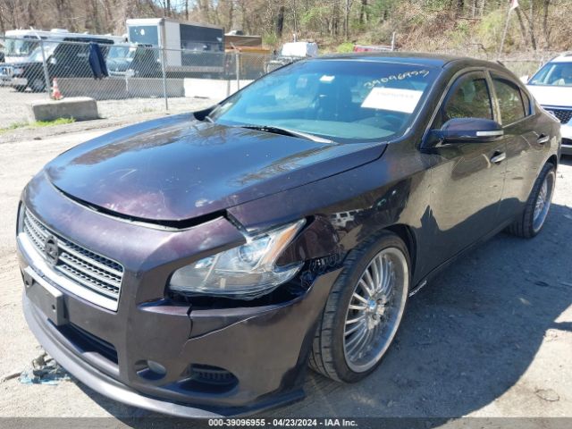 Photo 1 VIN: 1N4AA5AP6AC833088 - NISSAN MAXIMA 