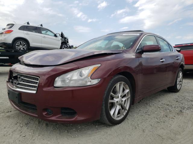 Photo 1 VIN: 1N4AA5AP6AC834080 - NISSAN MAXIMA S 