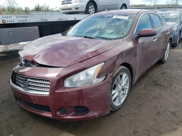 Photo 1 VIN: 1N4AA5AP6AC848304 - NISSAN MAXIMA S 