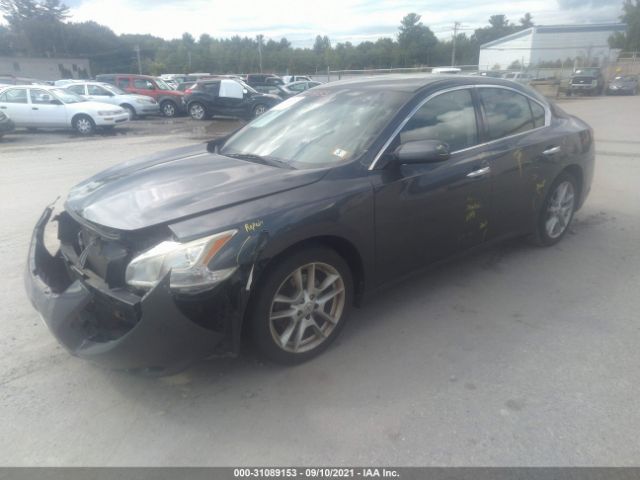 Photo 1 VIN: 1N4AA5AP6AC850215 - NISSAN MAXIMA 