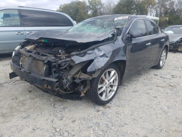 Photo 1 VIN: 1N4AA5AP6AC854023 - NISSAN MAXIMA S 