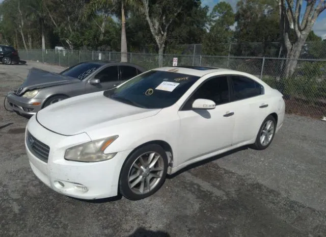 Photo 1 VIN: 1N4AA5AP6BC801744 - NISSAN MAXIMA 