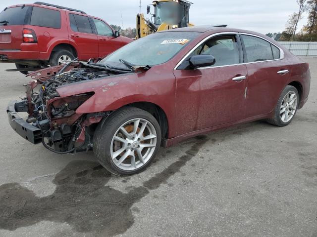 Photo 0 VIN: 1N4AA5AP6BC804403 - NISSAN MAXIMA 