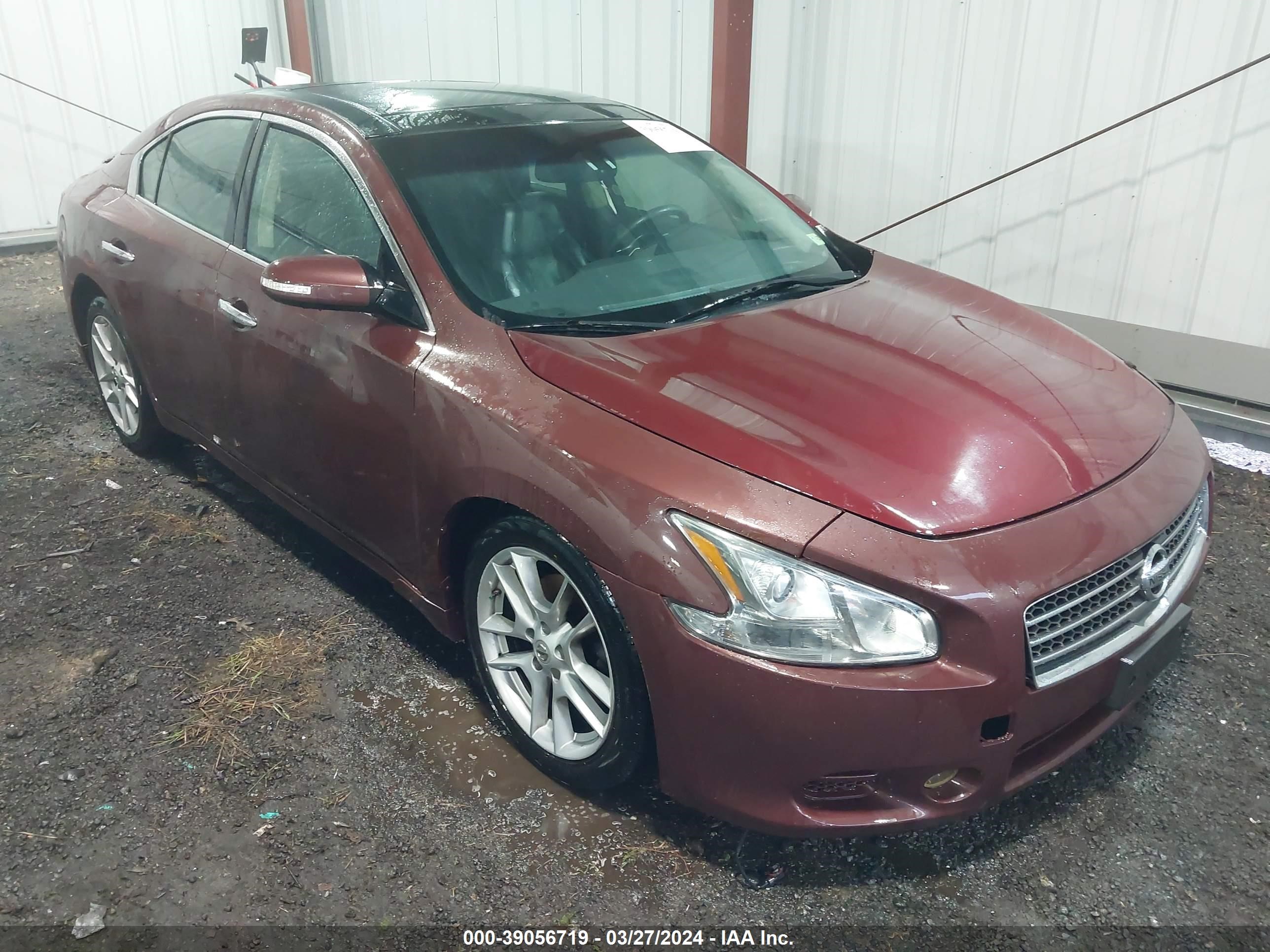 Photo 0 VIN: 1N4AA5AP6BC810704 - NISSAN MAXIMA 