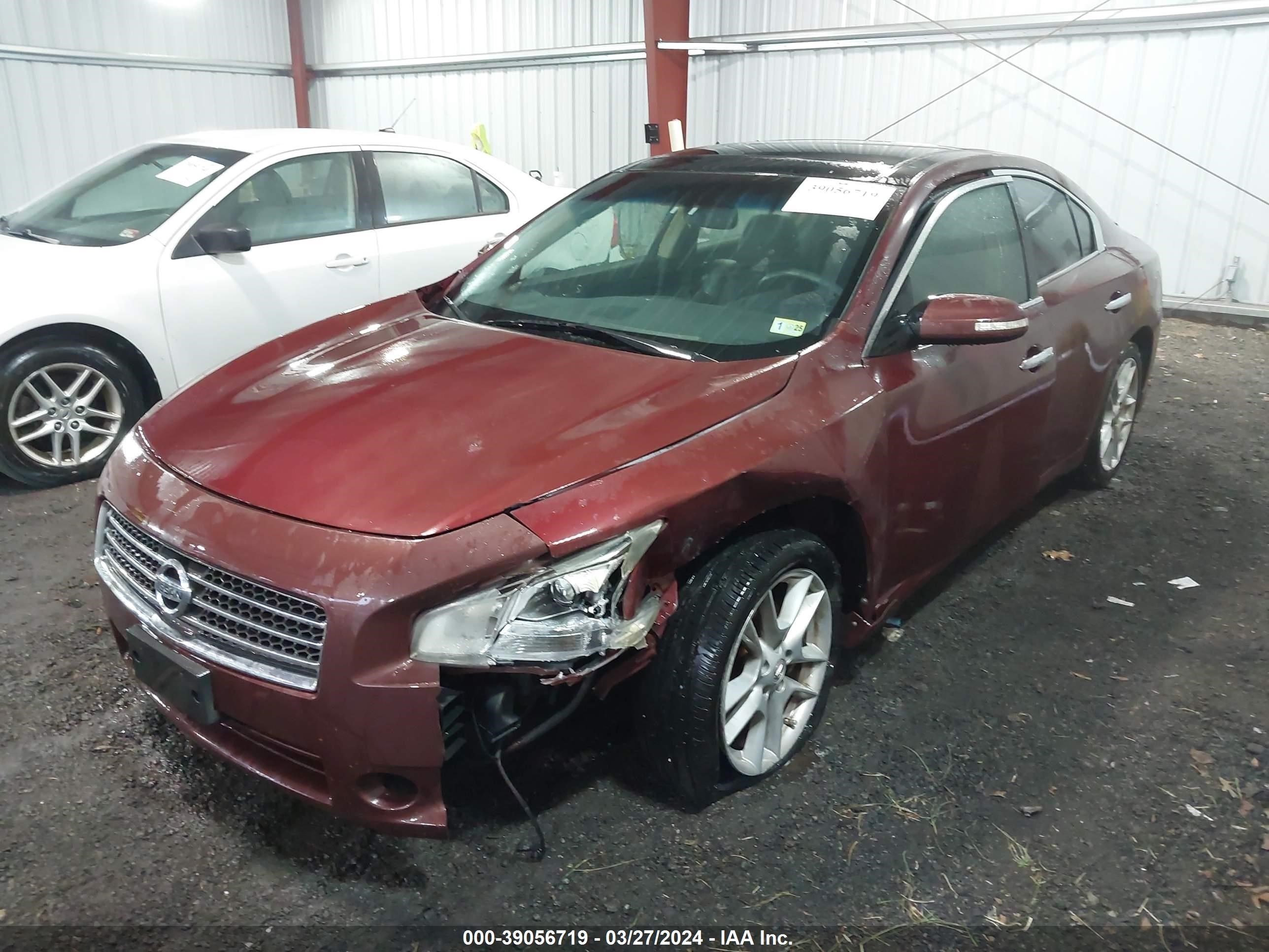 Photo 1 VIN: 1N4AA5AP6BC810704 - NISSAN MAXIMA 