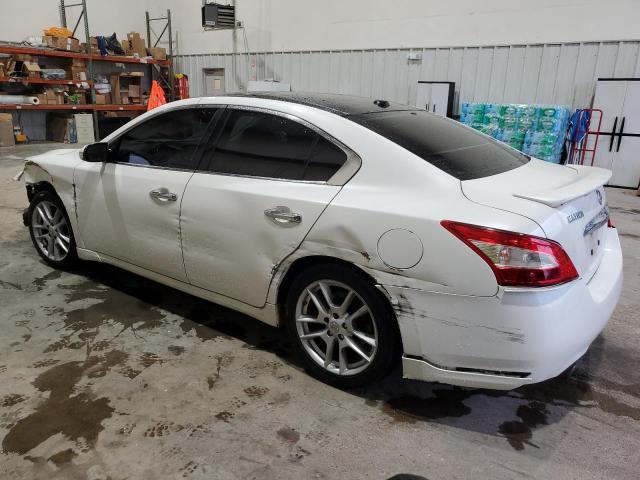 Photo 1 VIN: 1N4AA5AP6BC810900 - NISSAN MAXIMA 