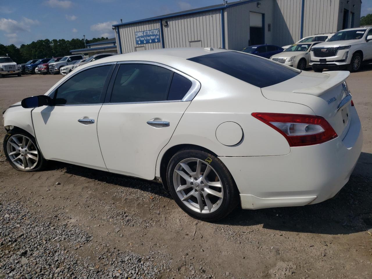 Photo 1 VIN: 1N4AA5AP6BC814817 - NISSAN MAXIMA 